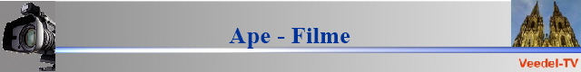 BannerVTV